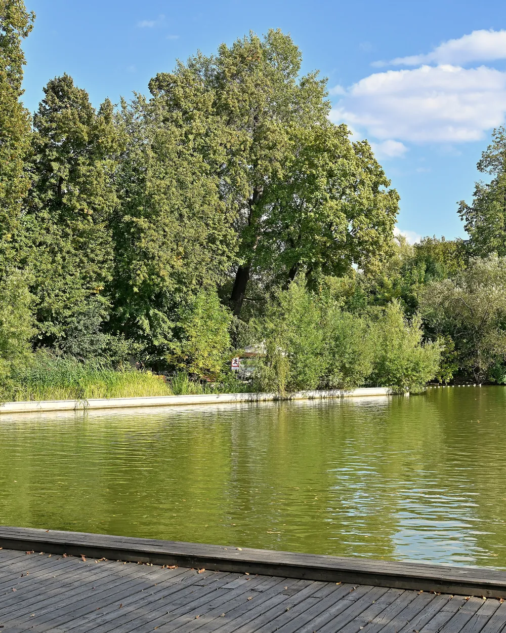 Пруд в парке Горького: деревья по дальнему берегу и деревянный настил у самой воды